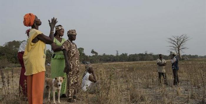 ​Proyecto  para la mejora de la gestión de arrozales integrado para el apoyo al desarrollo económico y social de la población de Casamance en Senegal. AECID