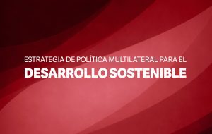Estrategia Politica Desarrollo Sostenible Portada, Cooperaci&oacute;n Espa&ntilde;ola