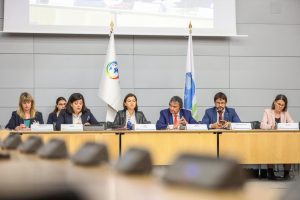 Conferencia Ocde Cooperacion Espanola, Cooperaci&oacute;n Espa&ntilde;ola